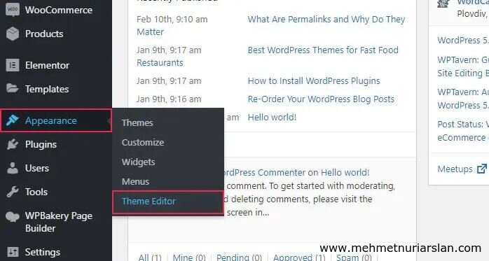 Wordpress tema düzenleyici yok! Tema ve eklenti editörü